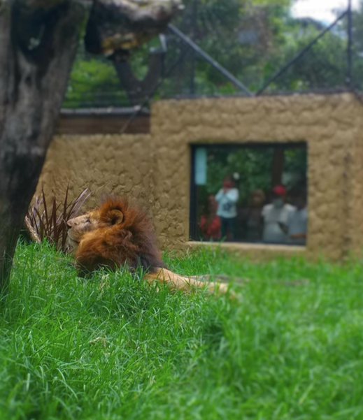 Casa Museo Santa Fe (parque Zoológico)