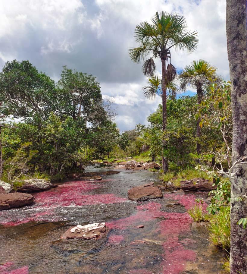 Finca Ecoturistica Trankilandia