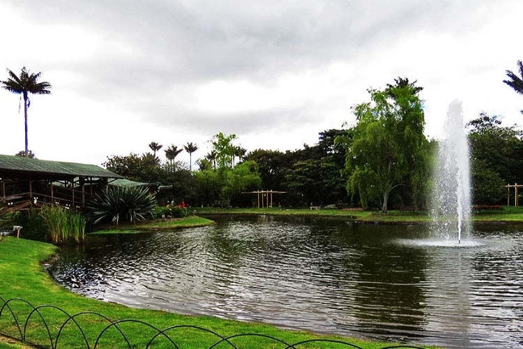 Jardín Botánico De San Andrés