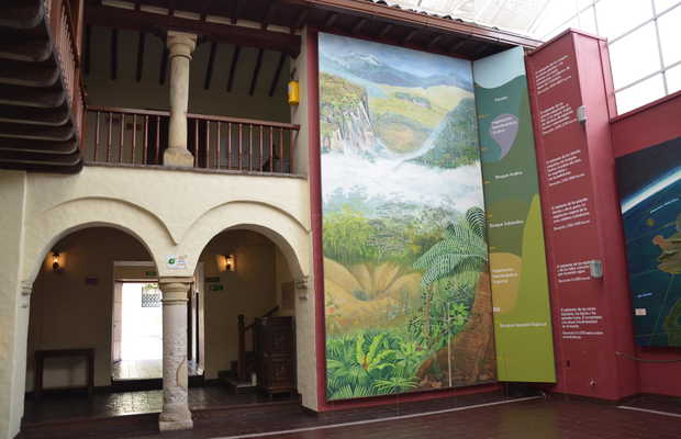 Museos en Caldas