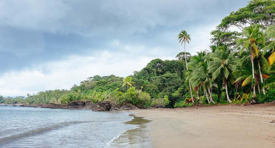 Playas En Nuquí