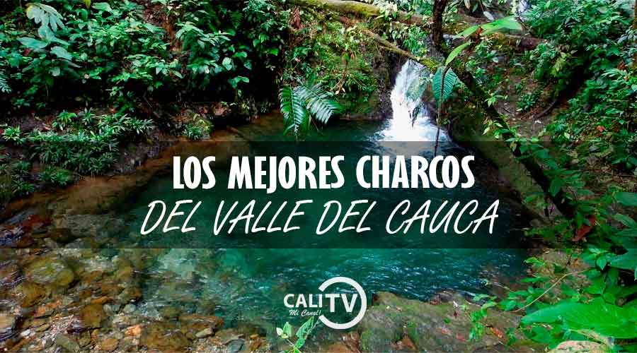 Ríos en Valle Del Cauca