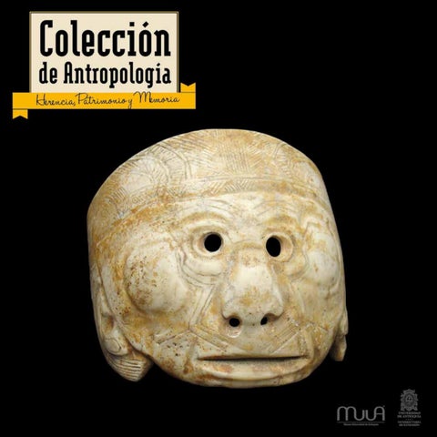 Museo Antropologico Universidad Del Tolima