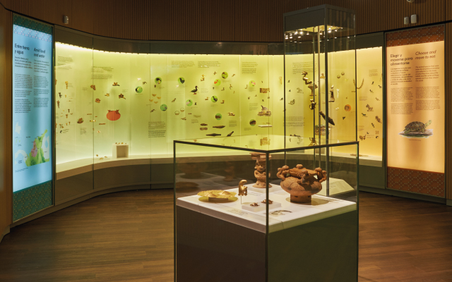 Museo Del Oro Calima Del Banco De La República