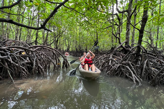 Parque Nacional Manglares De Old Point