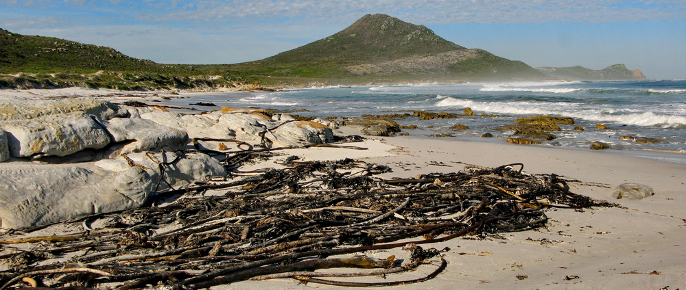 Playa Los Morros