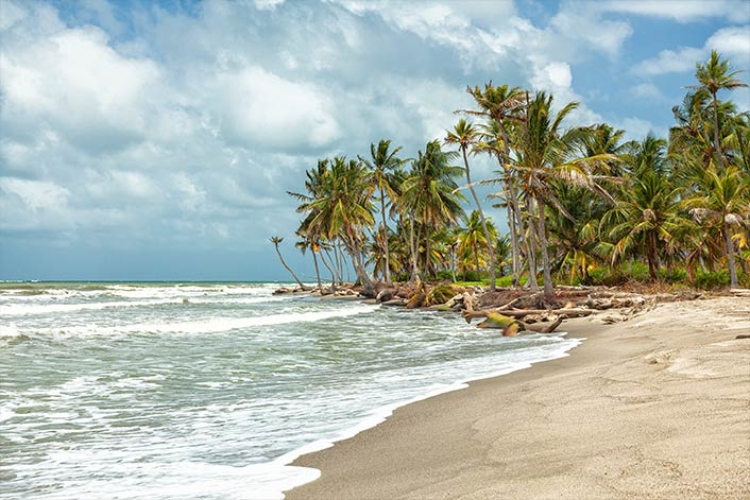 Playas De Necocli