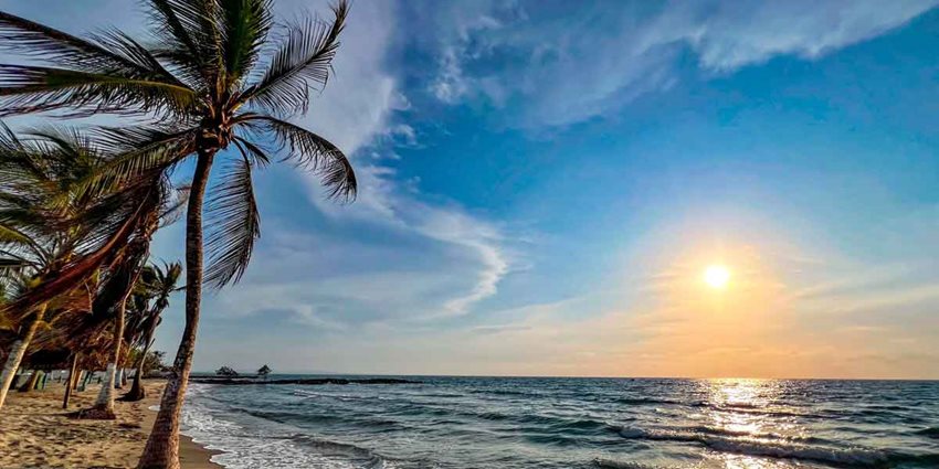 Playas De Palo Blanco