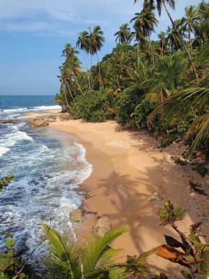 Playas De Puerto Viejo