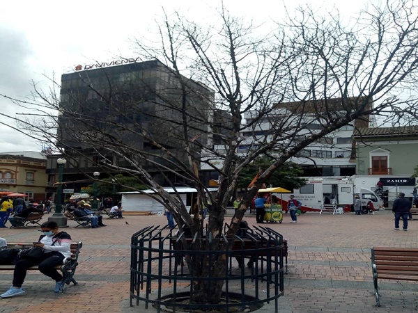 Plaza De Nariño