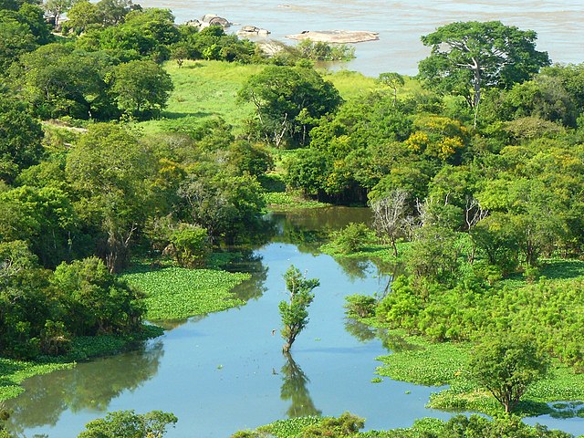 Rio Orinoco