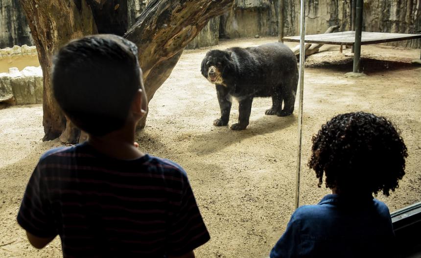 Zoológico De Barranquilla